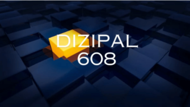 Dizipal 608