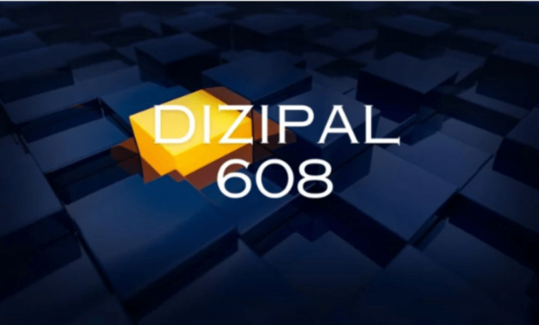 Dizipal 608